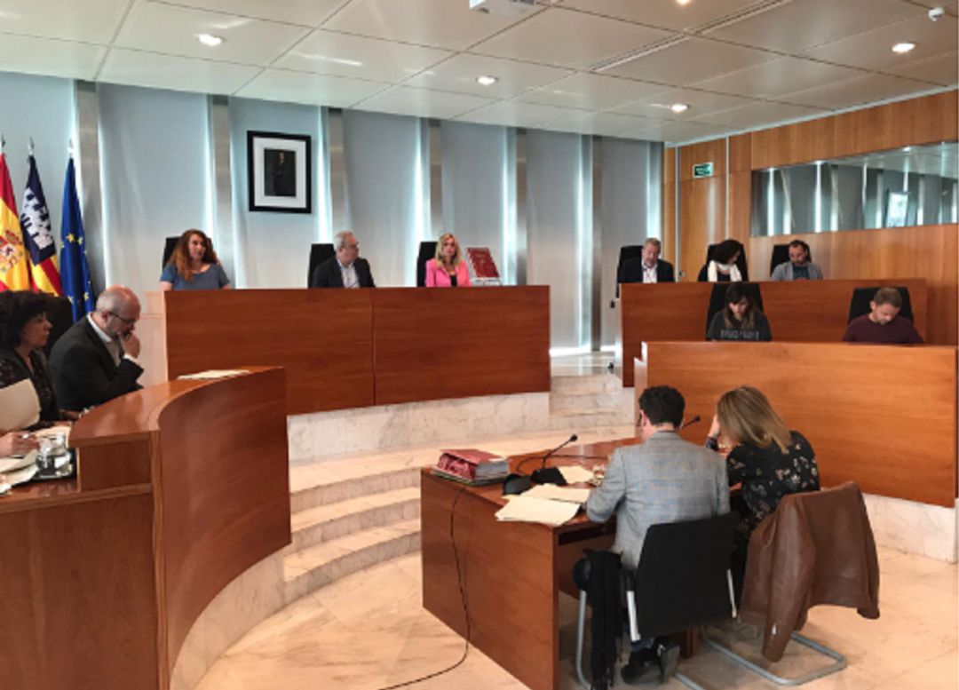 Imagen del pleno de hoy del Consell de Ibiza Imagen del pleno de hoy del Consell de Ibiza