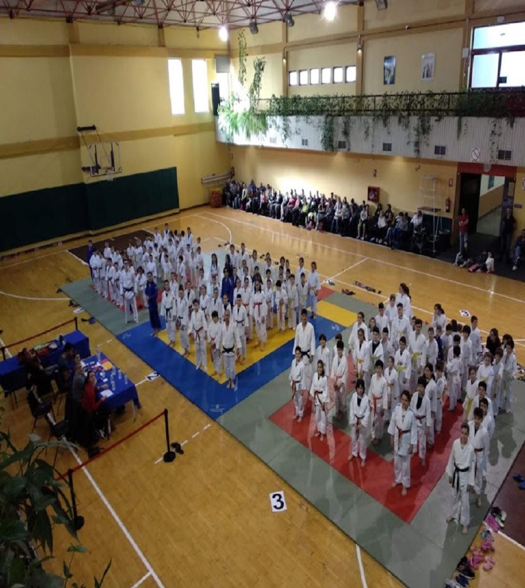 Tercera Jornada de la Copa Diputación de Ourense de Judo 2019 con categorías mixtas. Tercera Jornada de la Copa Diputación de Ourense de Judo 2019 con categorías mixtas.