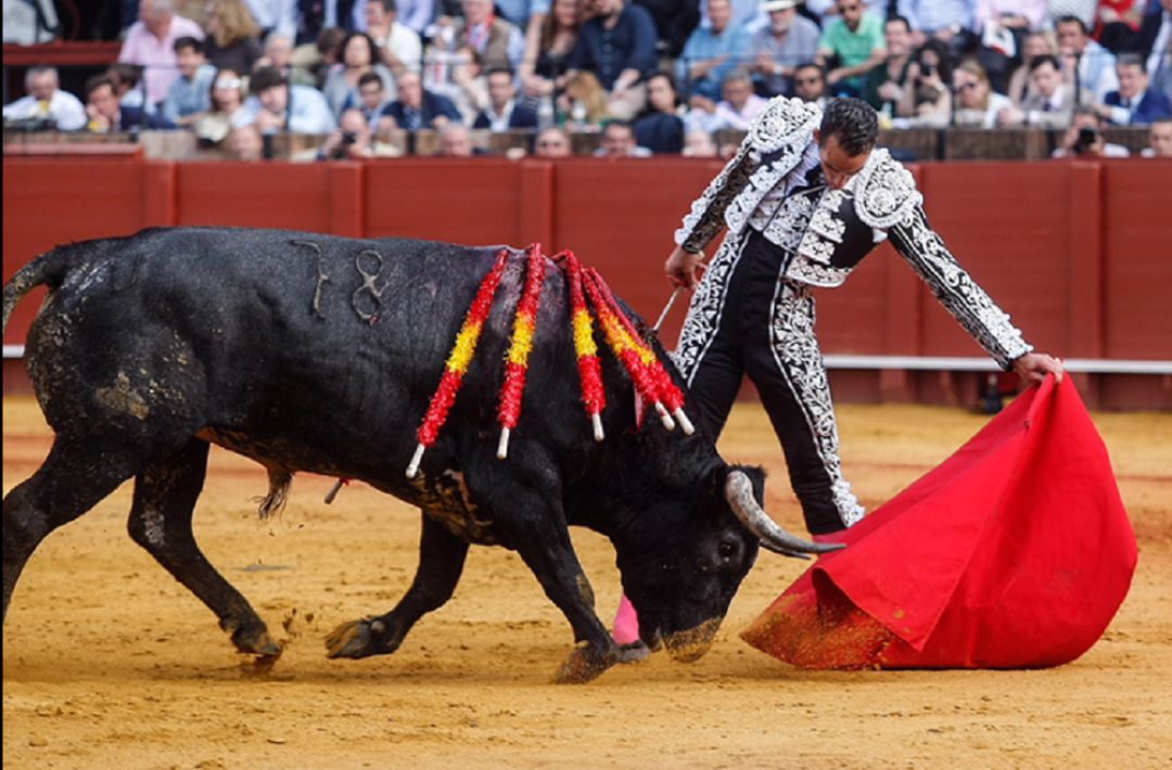 Pepe Moral regresa este martes a la Maestranza tras la gran tarde que brindó en la miurada del pasado año Pepe Moral regresa este martes a la Maestranza tras la gran tarde que brindó en la miurada del pasado año