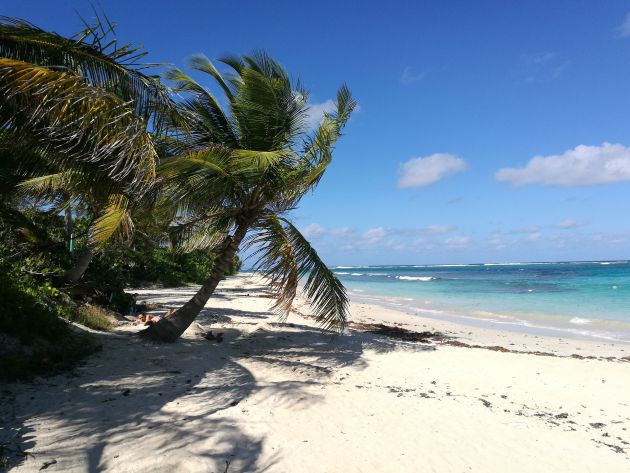 ¿La mejor playa del mundo? ¿La mejor playa del mundo?