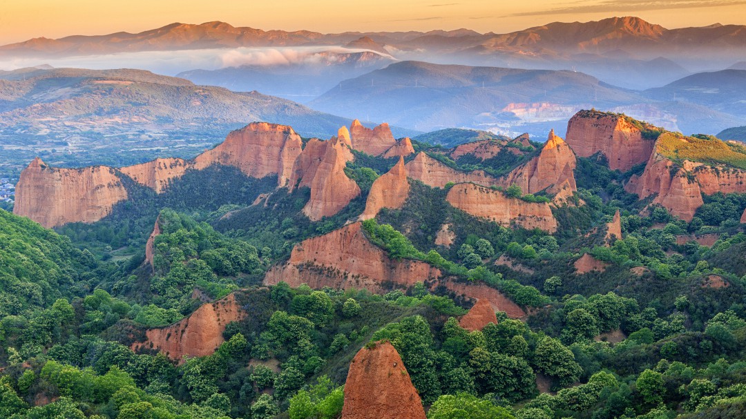 La Junta actúa para frenar un brote de tinta en los castaños de Las Médulas