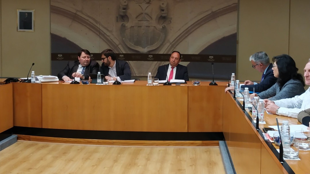 Sanz: "Mi presencia en esta comisión, que excede las competencias de este Parlamento, es voluntaria"