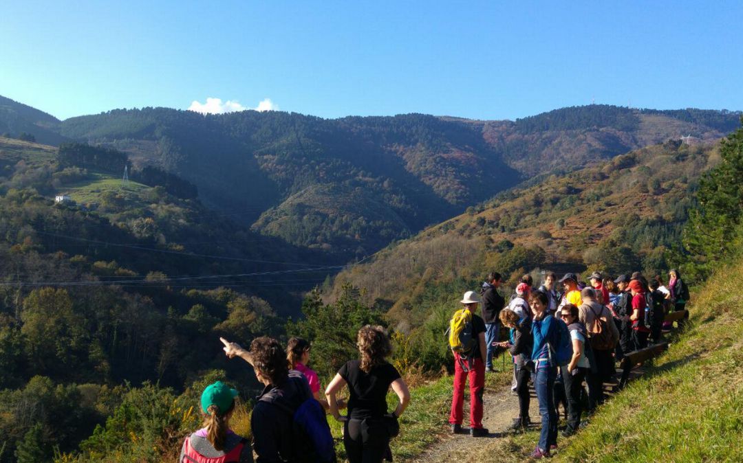 sueprsur en Bolintxu: "Las medidas compensatorias no evitarán el impacto medioambiental en Bolintxu" sueprsur en Bolintxu: "Las medidas compensatorias no evitarán el impacto medioambiental en Bolintxu"