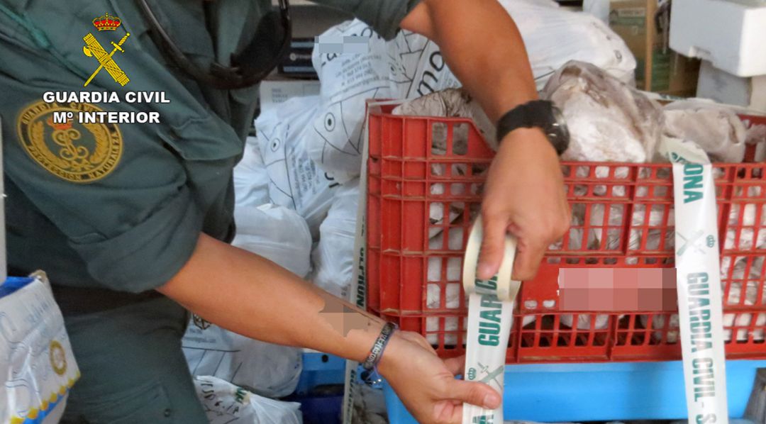 La Guardia Civil decomisa más de una tonelada de pescado en dos pescaderías y una lonja La Guardia Civil decomisa más de una tonelada de pescado en dos pescaderías y una lonja