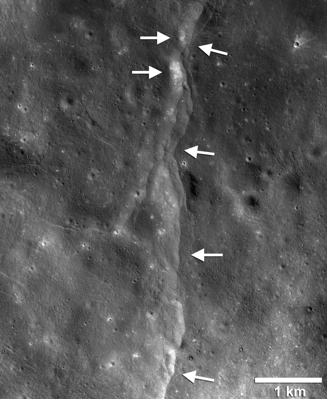 Esta falla de empuje prominente es una de las miles descubiertas en la luna por el Lunar Reconnaissance Orbiter (LRO) de la NASA. Estas fallas se asemejan a pequeños acantilados.
Esta falla de empuje prominente es una de las miles descubiertas en la luna por el Lunar Reconnaissance Orbiter (LRO) de la NASA. Estas fallas se asemejan a pequeños acantilados.