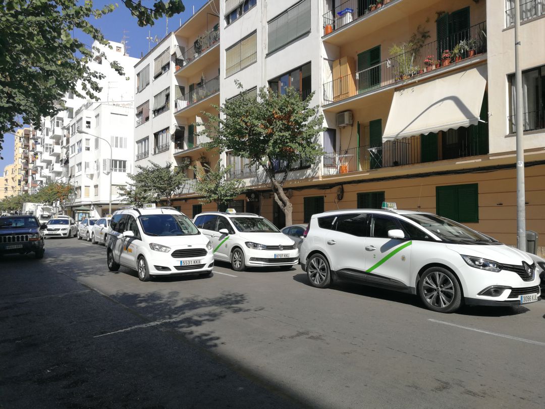 Actividad: Los taxistas esperan una temporada turística "similar" a 2018 Actividad: Los taxistas esperan una temporada turística "similar" a 2018