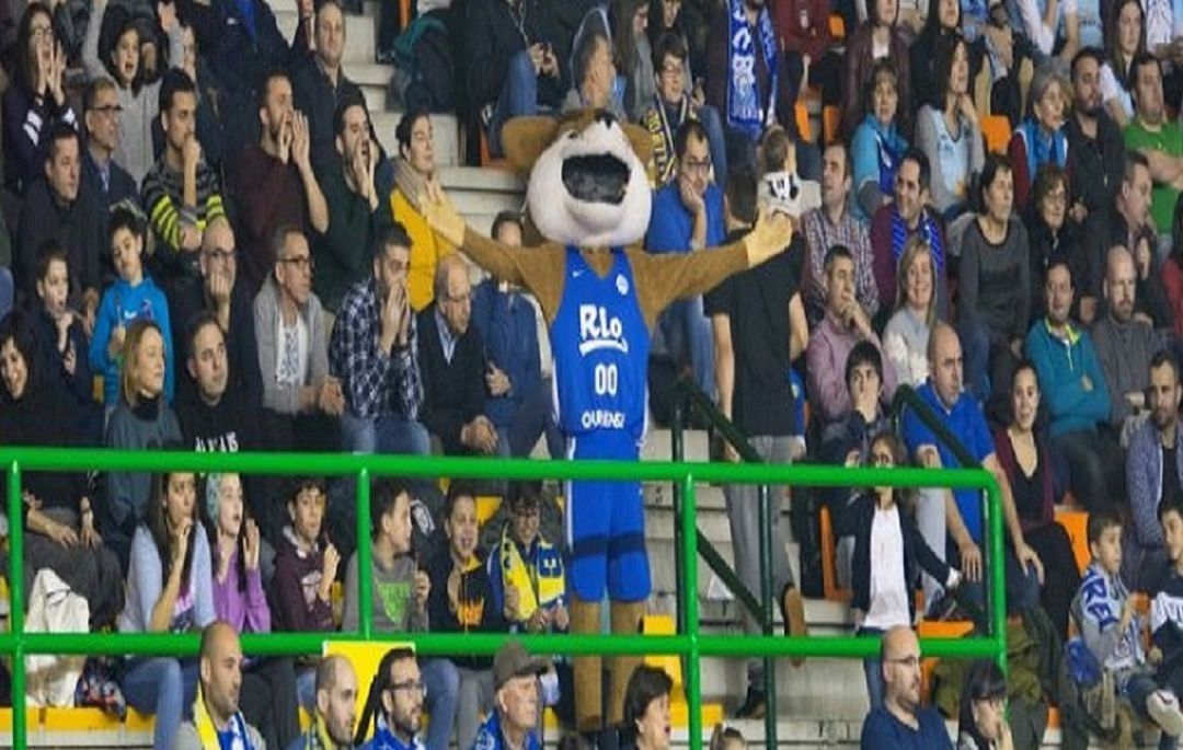 Este jueves en el Pazo de los deportes Paco Paz, el Club Ourense Baloncesto puede cerrar esta eliminatoria del playoff de ascenso a la liga ACB, ante Oviedo. Este jueves en el Pazo de los deportes Paco Paz, el Club Ourense Baloncesto puede cerrar esta eliminatoria del playoff de ascenso a la liga ACB, ante Oviedo.