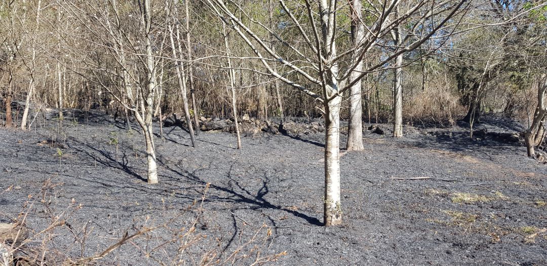 El Gobierno del Estado destina medio millón de euros para el incendio de Rianxo El Gobierno del Estado destina medio millón de euros para el incendio de Rianxo