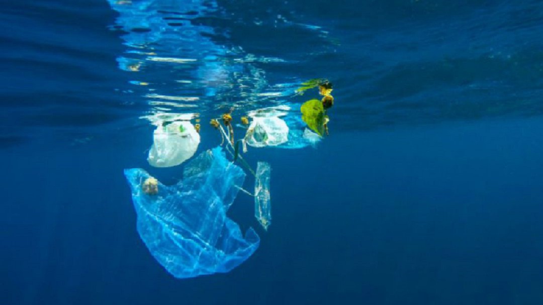 Donostia ciudad libre de bolsas de plástico en 2021