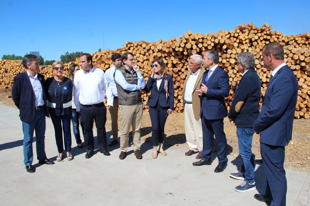 El candidato del PP a la Junta, Alfonso Fernández Mañueco visita la empresa Naturpellet en Sanchonuño El candidato del PP a la Junta, Alfonso Fernández Mañueco visita la empresa Naturpellet en Sanchonuño