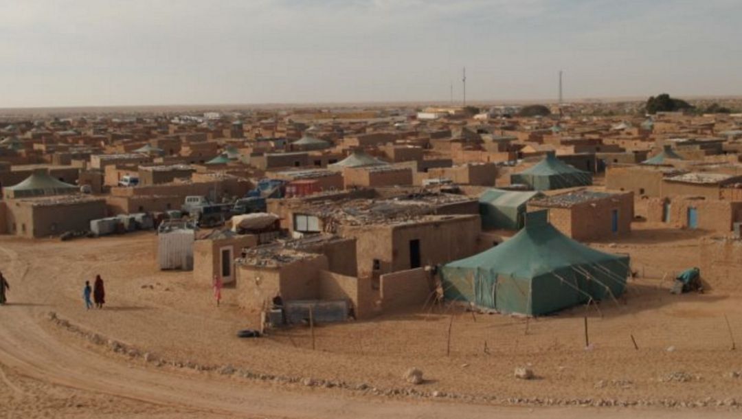 80.000 magdalenas para los refugiados saharauis 80.000 magdalenas para los refugiados saharauis
