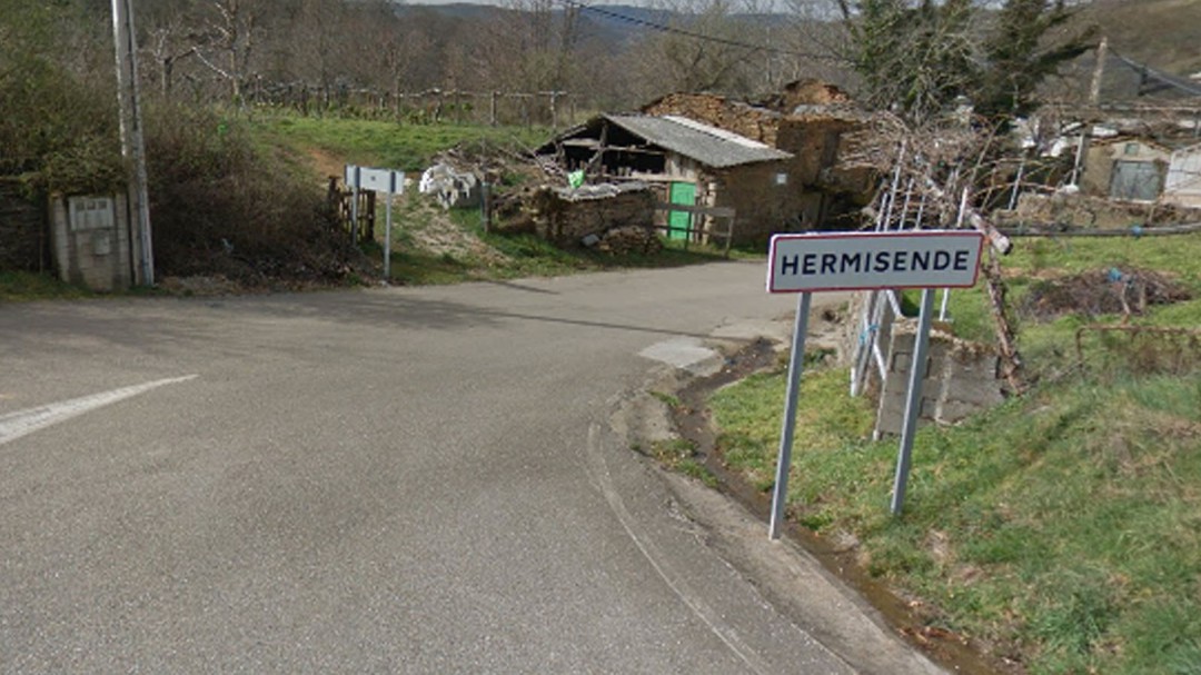 Detectada una plaga de avispilla en Hermisende