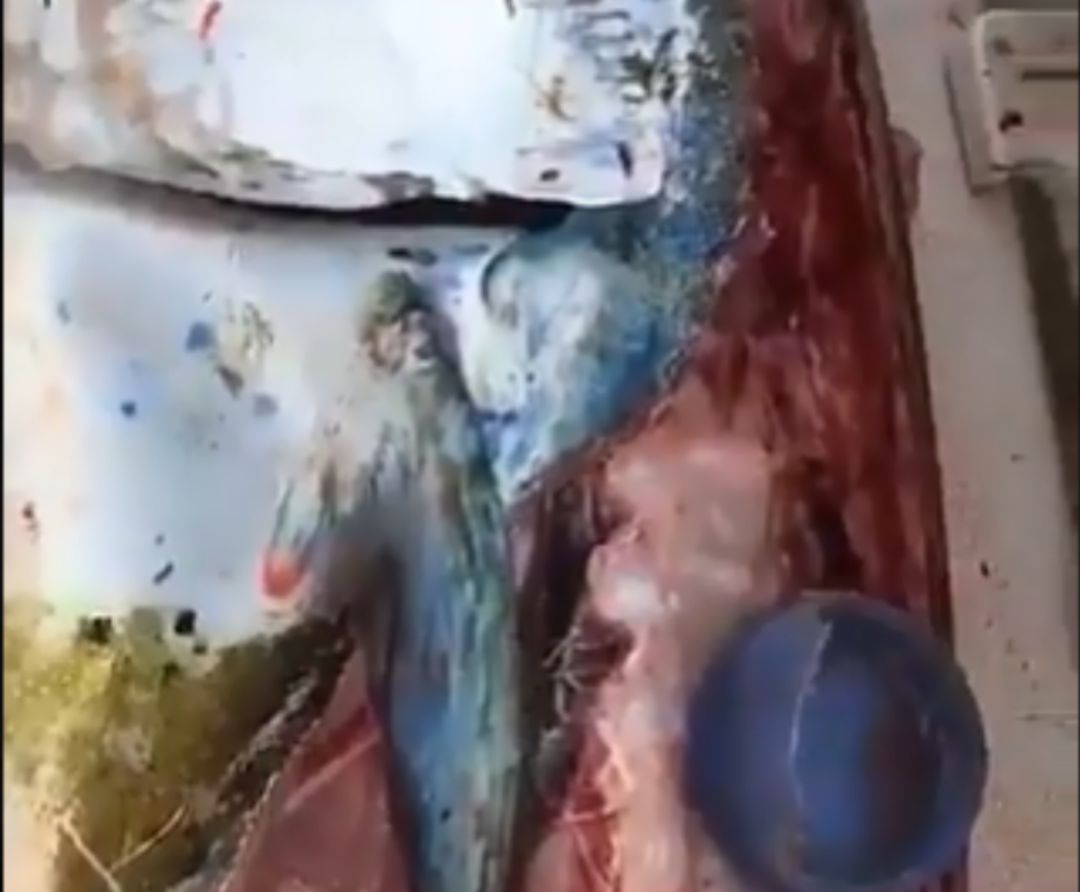 La denuncia de Dabiz Diverso que te quitará las ganas de comer pescado La denuncia de Dabiz Diverso que te quitará las ganas de comer pescado