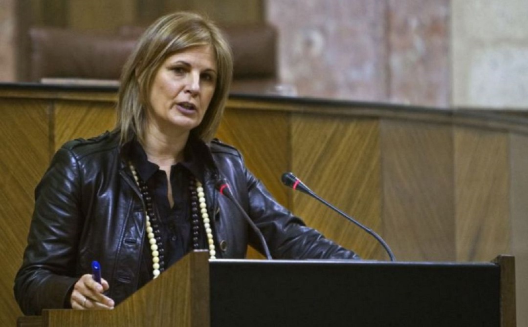 La Fiscalía Anticorrupción pide volver a investigar a García Pelayo en la trama Gürtel La Fiscalía Anticorrupción pide volver a investigar a García Pelayo en la trama Gürtel