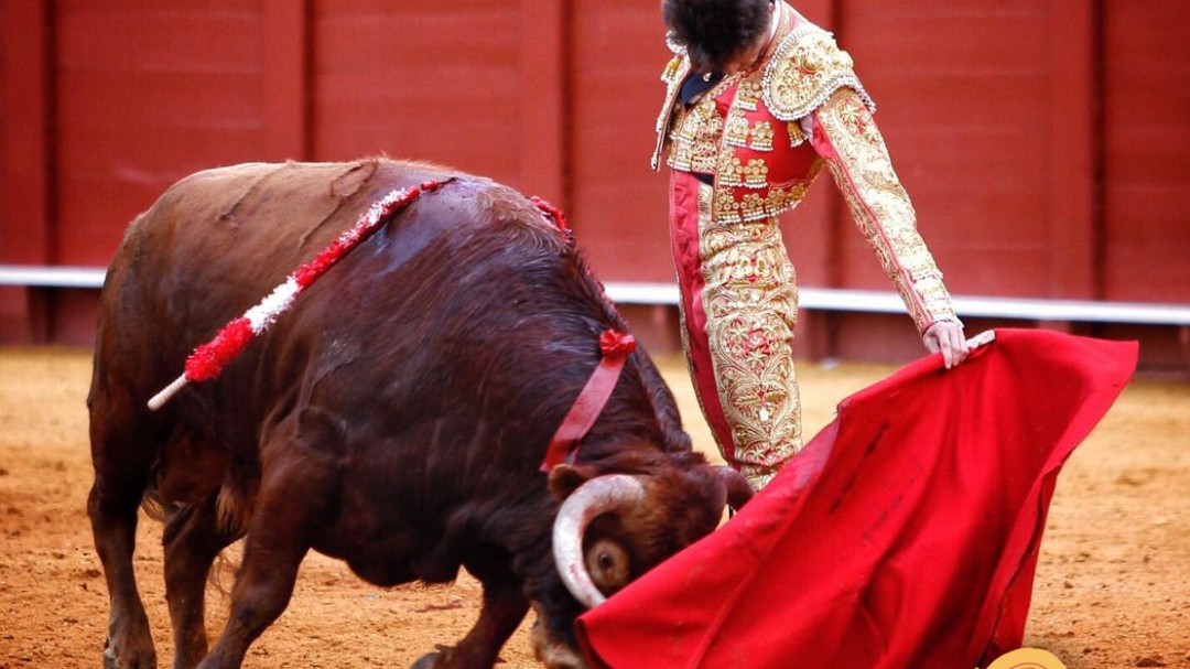 Una oreja para el buen toreo al natural de Ángel Jiménez