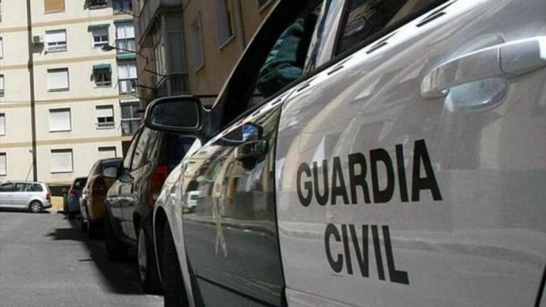 Destapada una trama de administración irregular de medicamentos en animales que actuaba en Burgos y Palencia