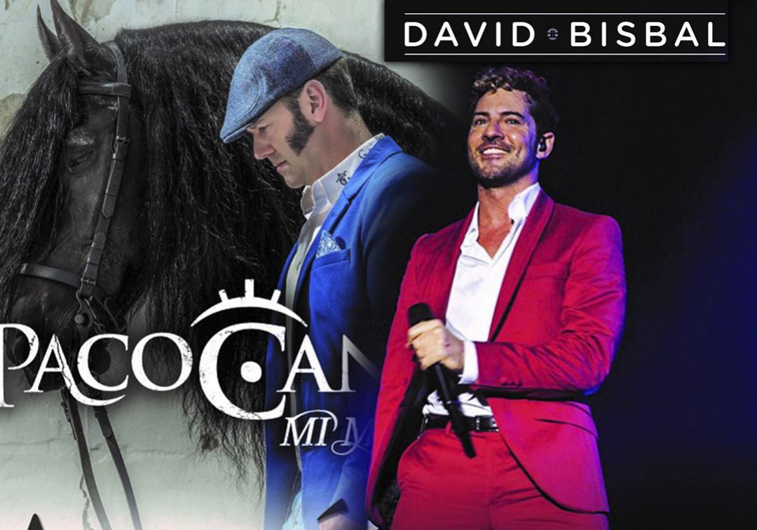 David Bisbal actuará en Andújar David Bisbal actuará en Andújar