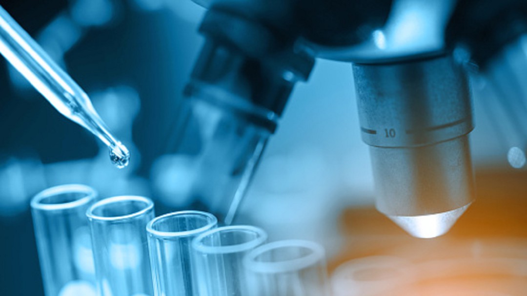 Aragón lanza contratos predoctorales de hasta 4 años de duración