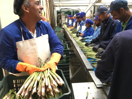 Trabajadores búlgaros en la empresa Hermanos Urbina en Guadalajara Trabajadores búlgaros en la empresa Hermanos Urbina en Guadalajara