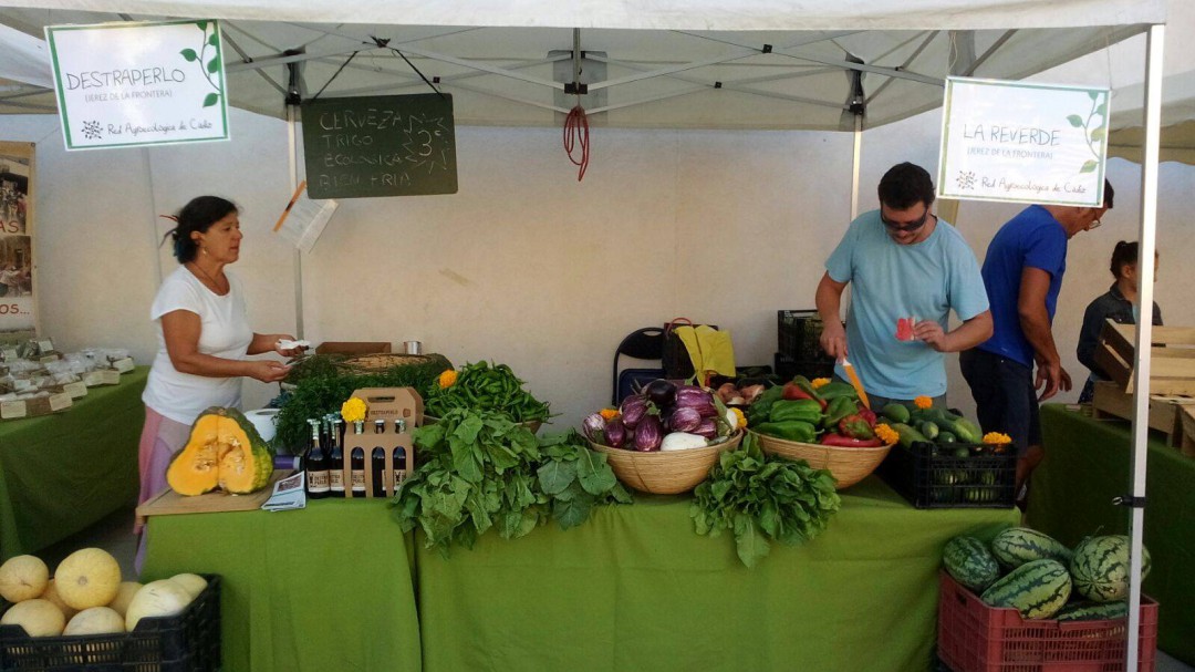Calle Viva propone fomentar el vegetarianismo desde los ayuntamientos