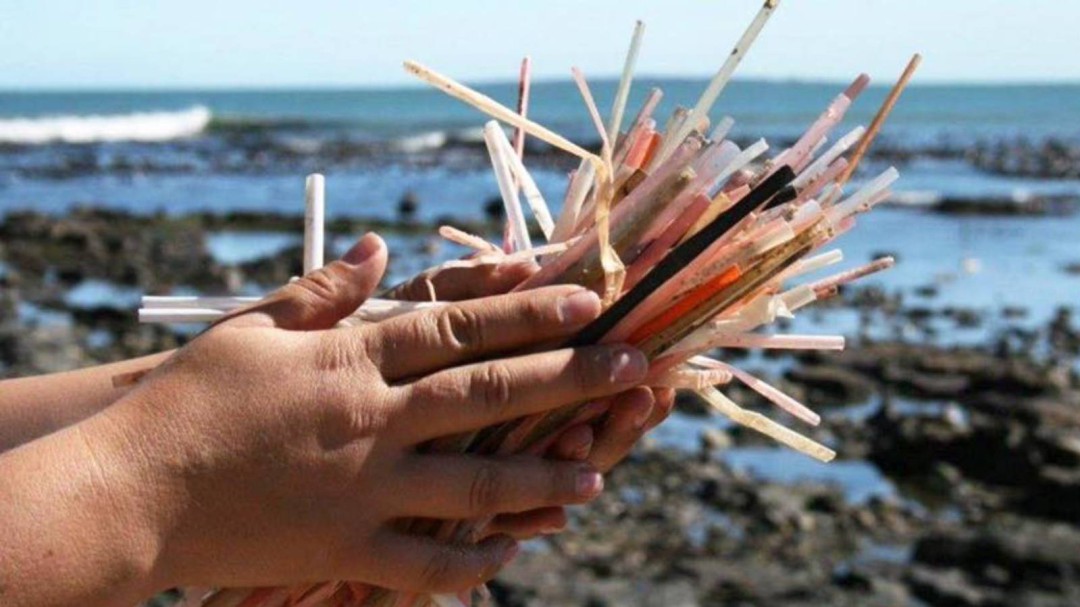 En busca de un récord de recogida de basura en una playa de Gran Canaria