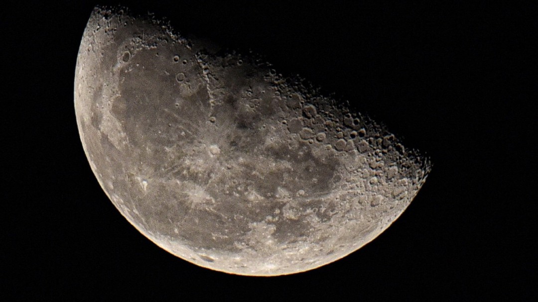 Seres vivos terrestres viajarán al espacio profundo