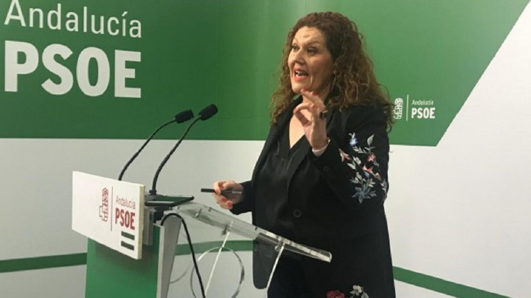 El PSOE de la provincia de Cádiz denuncia a Antonio Sanz ante la Junta Electoral Central