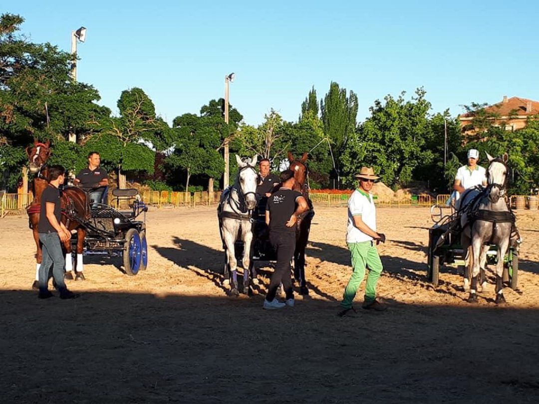 Una exhibición ecuestre en la Feria del Caballo Una exhibición ecuestre en la Feria del Caballo