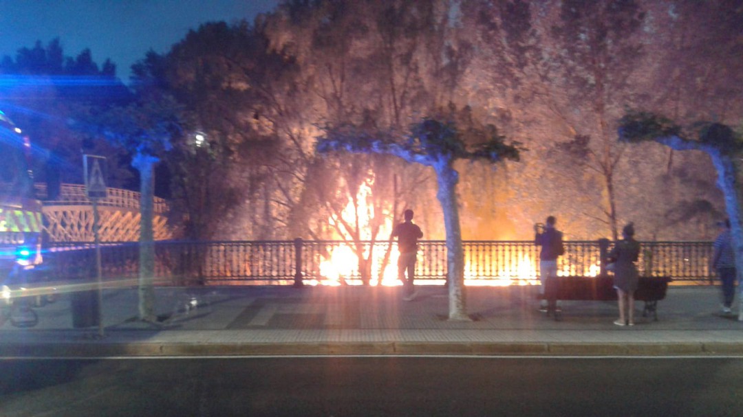 Denunciado un joven de 18 años como autor del incendio de la orilla del Carrión por quema de pelusas