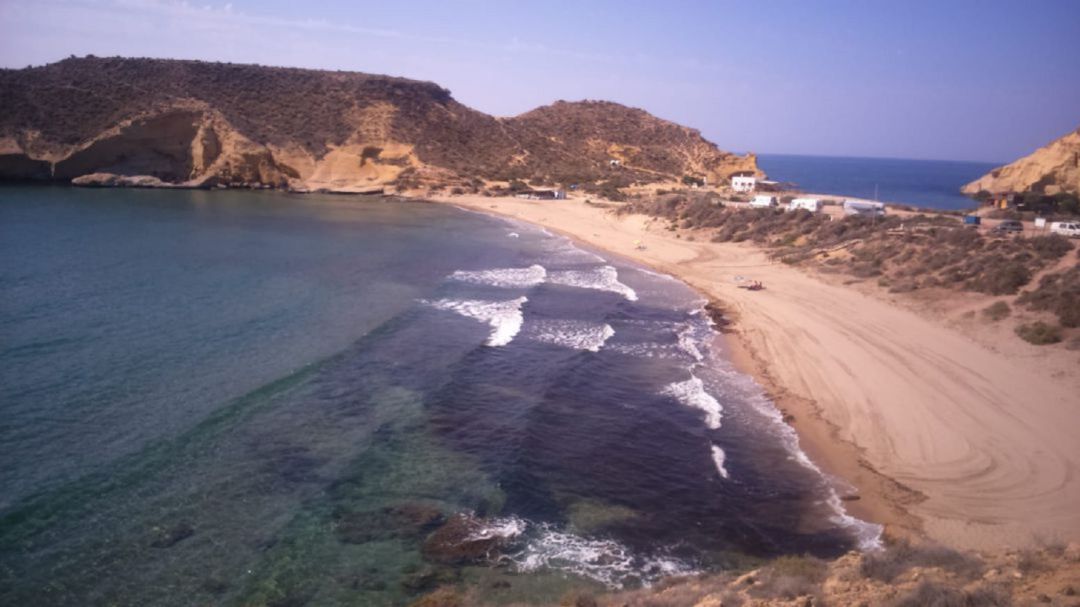 Los espacios naturales celebran el Día Mundial del Medio Ambiente con visitas, limpieza de playas, plantaciones o conciertos Los espacios naturales celebran el Día Mundial del Medio Ambiente con visitas, limpieza de playas, plantaciones o conciertos