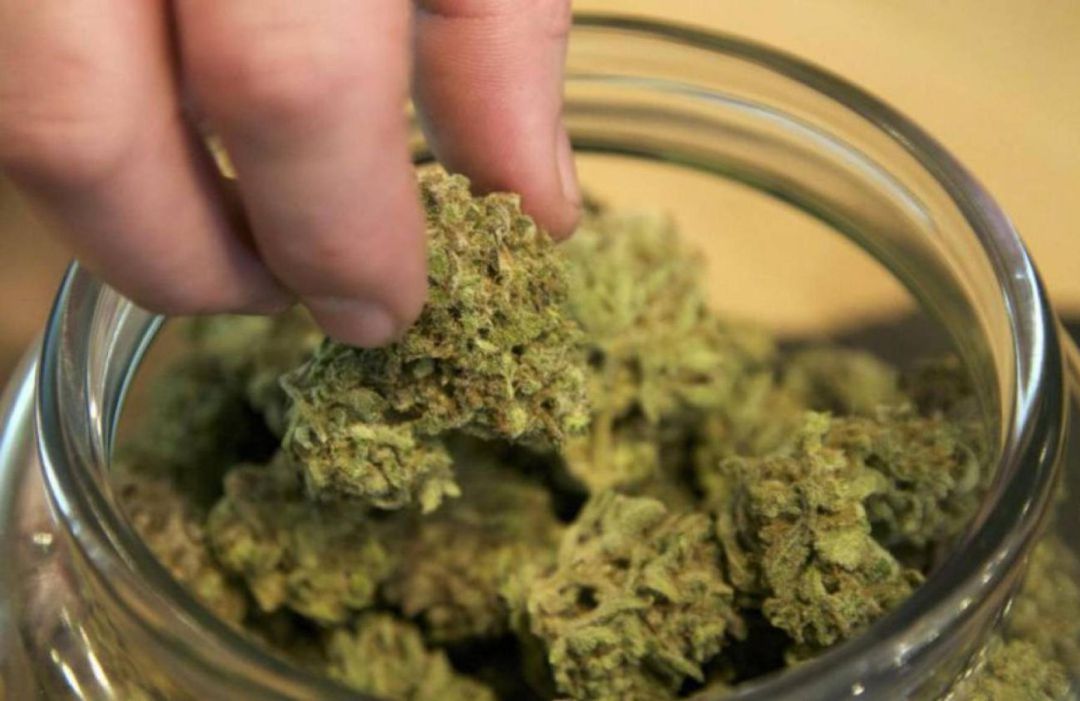El pastel tenía marihuana El pastel tenía marihuana