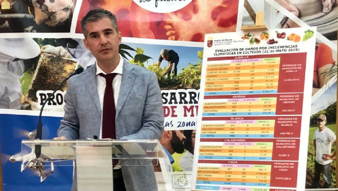 Agricultura cifra en más de 12 millones de euros los daños por el granizo de la pasada semana Agricultura cifra en más de 12 millones de euros los daños por el granizo de la pasada semana