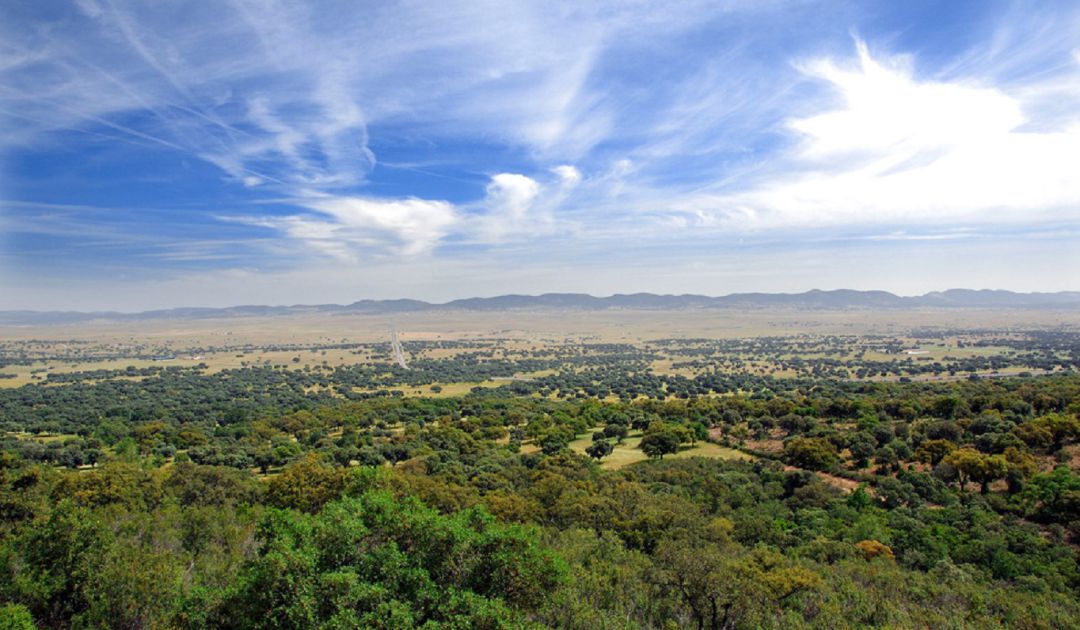 Parque Natural del Valle de Alcudia Parque Natural del Valle de Alcudia