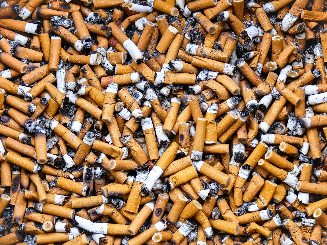Recuperar los olores de la Región, en vez del humo del tabaco Recuperar los olores de la Región, en vez del humo del tabaco
