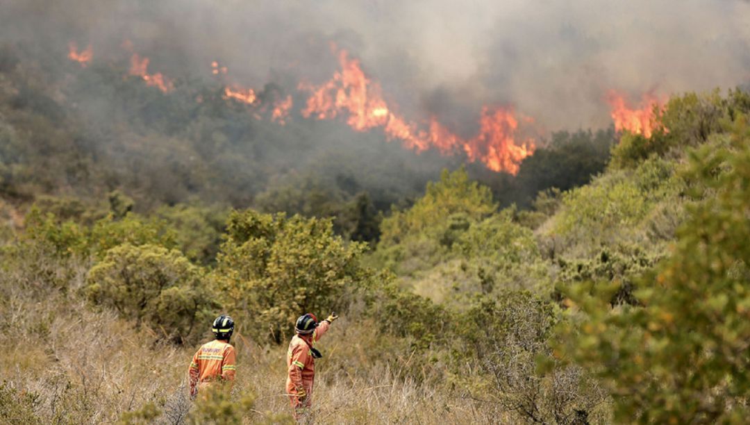 Andilla y Cortes de Pallás acusan a Greenpeace de no decir toda la verdad sobre sus planes contra incendios Andilla y Cortes de Pallás acusan a Greenpeace de no decir toda la verdad sobre sus planes contra incendios