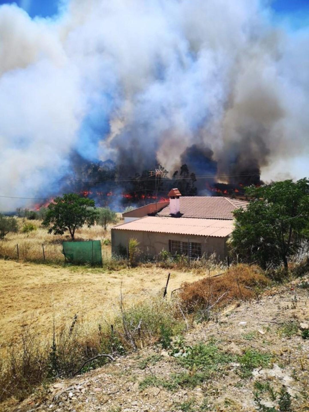 Bajaran una negligencia como posible causa del incendio de Beas Bajaran una negligencia como posible causa del incendio de Beas