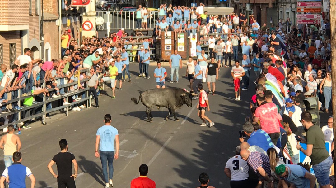 El Toro de la Feria, principal atracción
