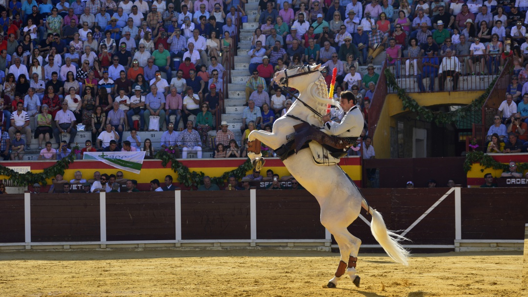 La tauromaquia contra el cáncer en Villacarrillo
