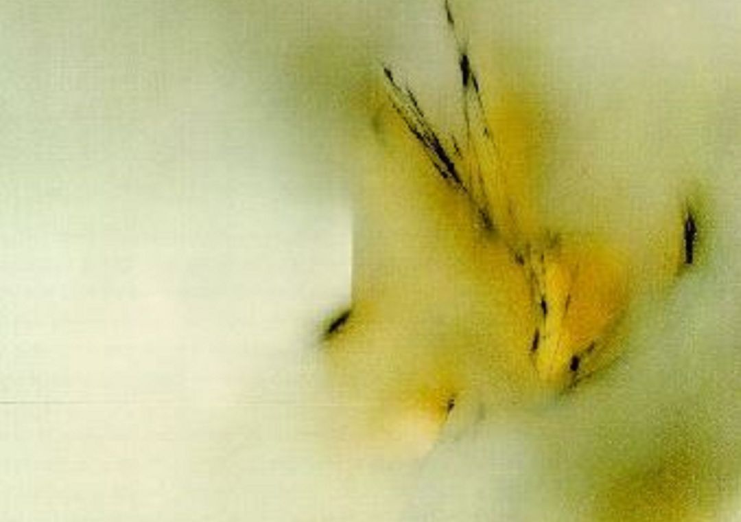 Detalle del cuadro 'Jardín Seco' 1969, de Fernando Zóbel. Detalle del cuadro 'Jardín Seco' 1969, de Fernando Zóbel.
