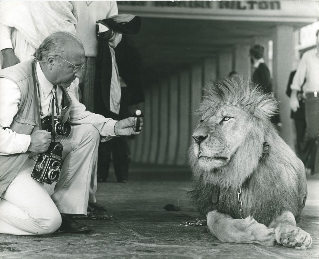 Recull de fotos dels germans Gómez Grau, de Cervera, que van immortalitzar rodatges de grans superproduccions de Hollywood. Recull de fotos dels germans Gómez Grau, de Cervera, que van immortalitzar rodatges de grans superproduccions de Hollywood.