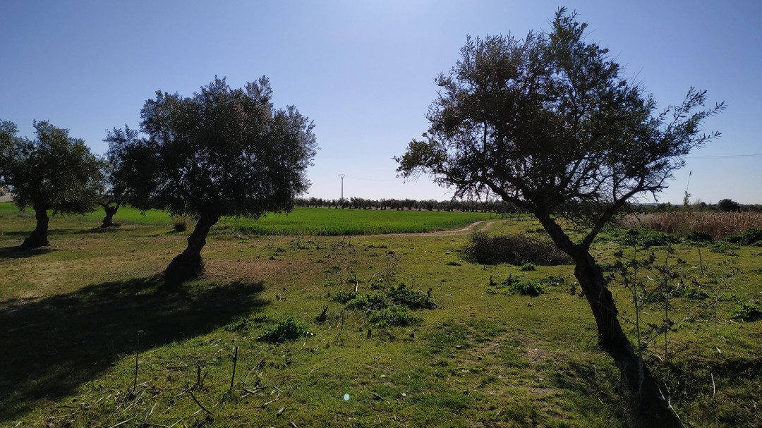 Nuevo paso para la transformación en regadío de Arroyo del Campo y Los Quintos