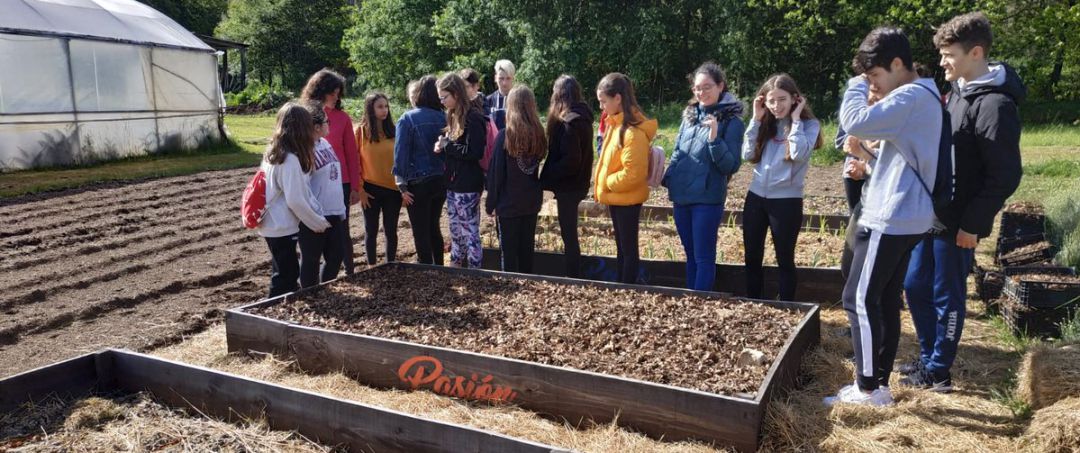 Visita escolar a uno de los proyectos Visita escolar a uno de los proyectos
