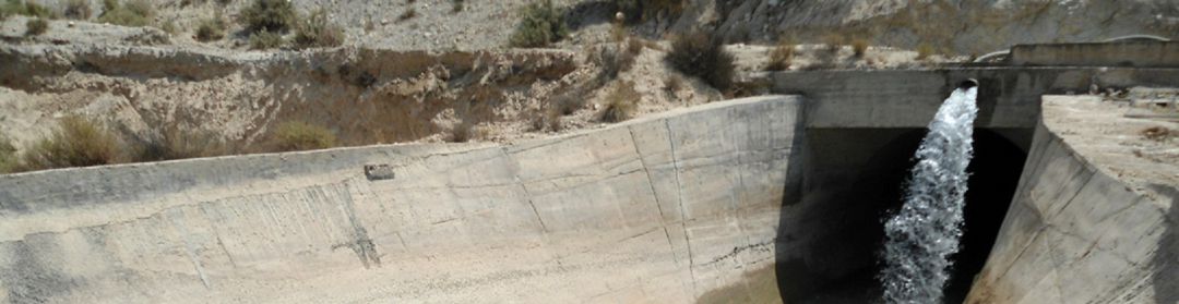 Regar en el Canal Bajo del Alberche con agua del Tajo "es una barbaridad" Regar en el Canal Bajo del Alberche con agua del Tajo "es una barbaridad"