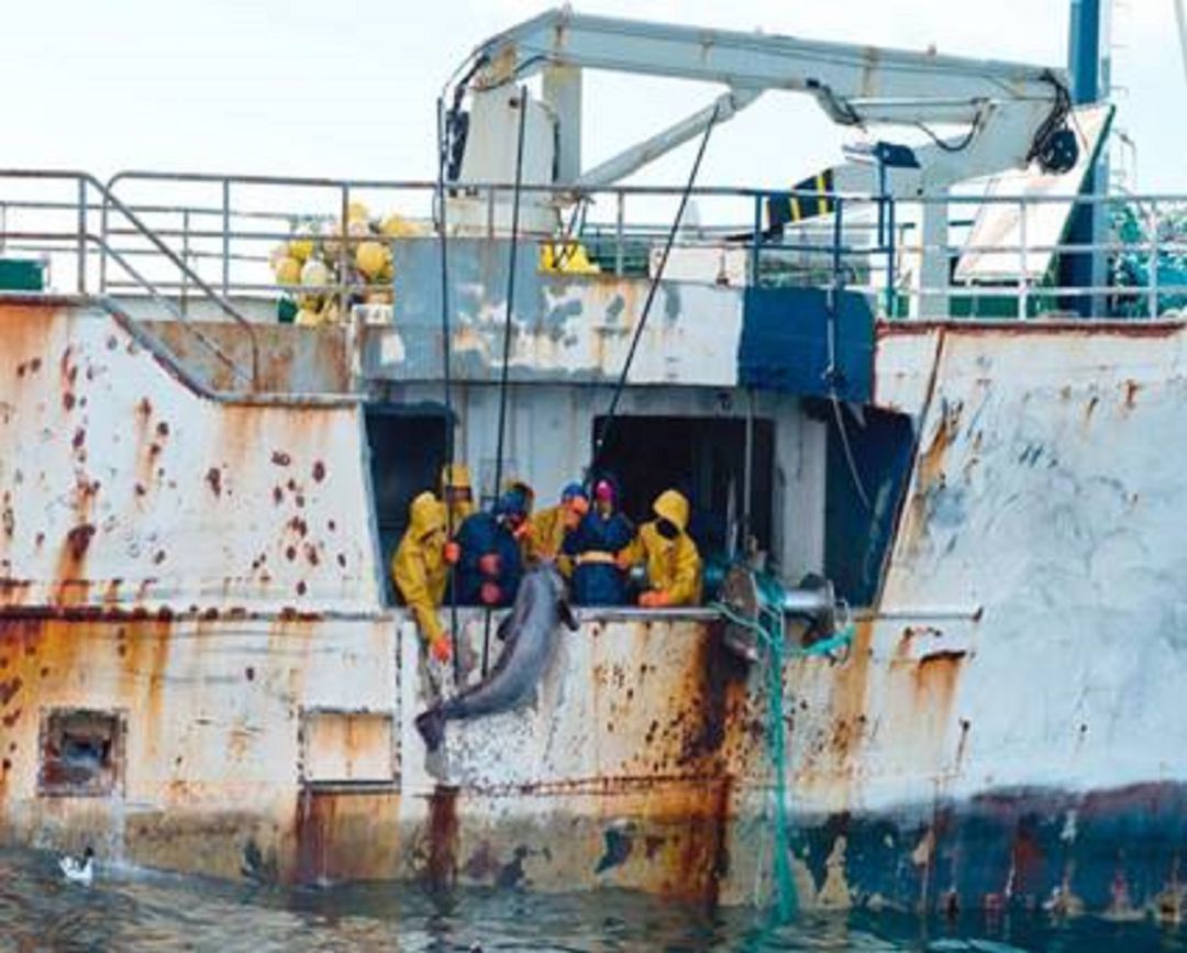 Se necesitan pescadores extranjeros Se necesitan pescadores extranjeros