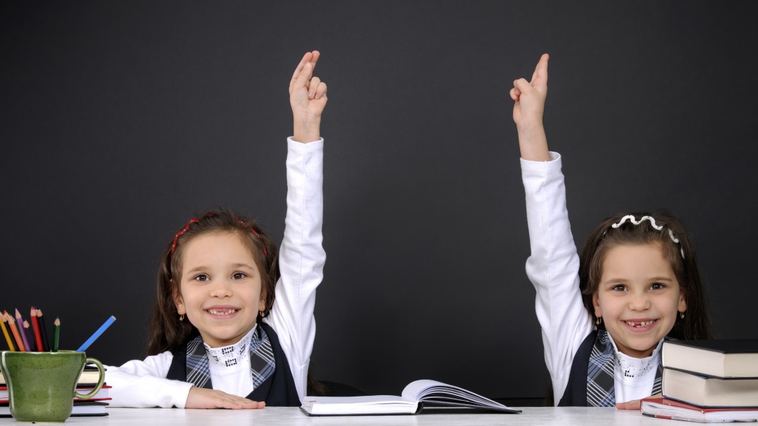 Gemelos y mellizos: ¿Juntos o separados en los colegios?