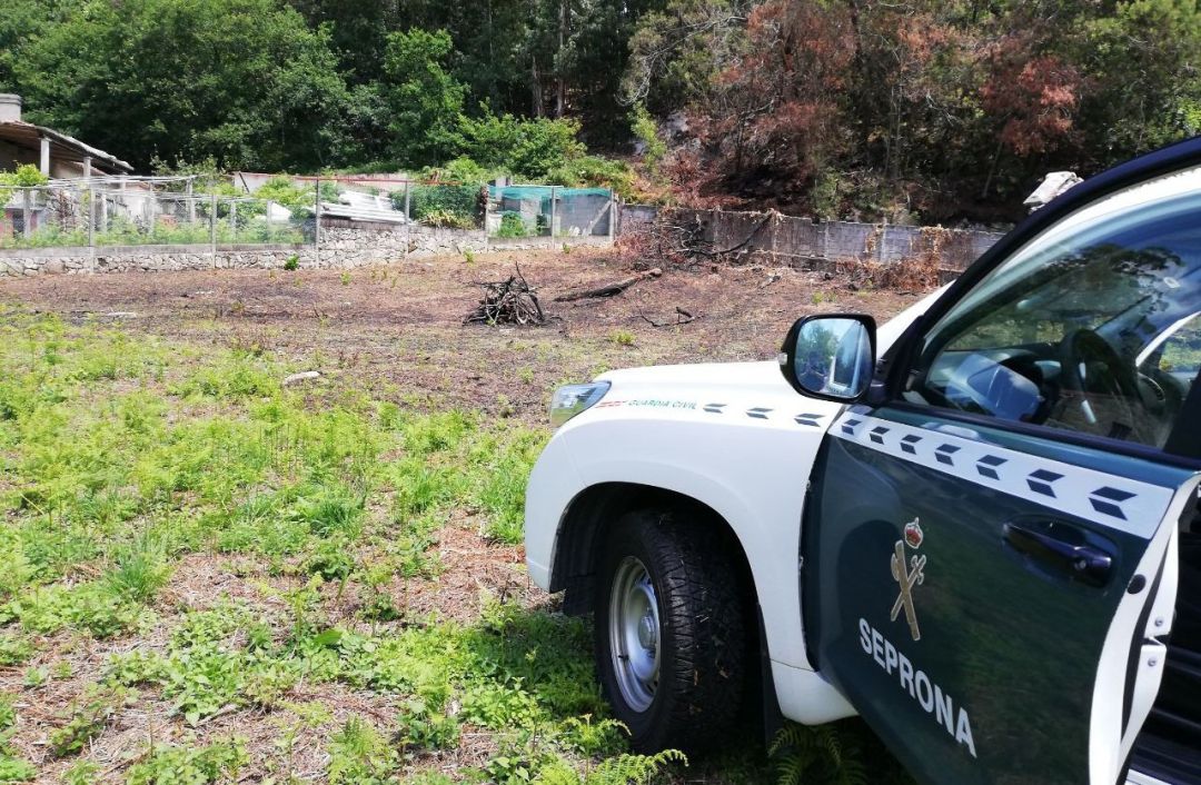 La Guardia Civil investiga a un vecino de Vigo por incendio forestal en Cangas La Guardia Civil investiga a un vecino de Vigo por incendio forestal en Cangas