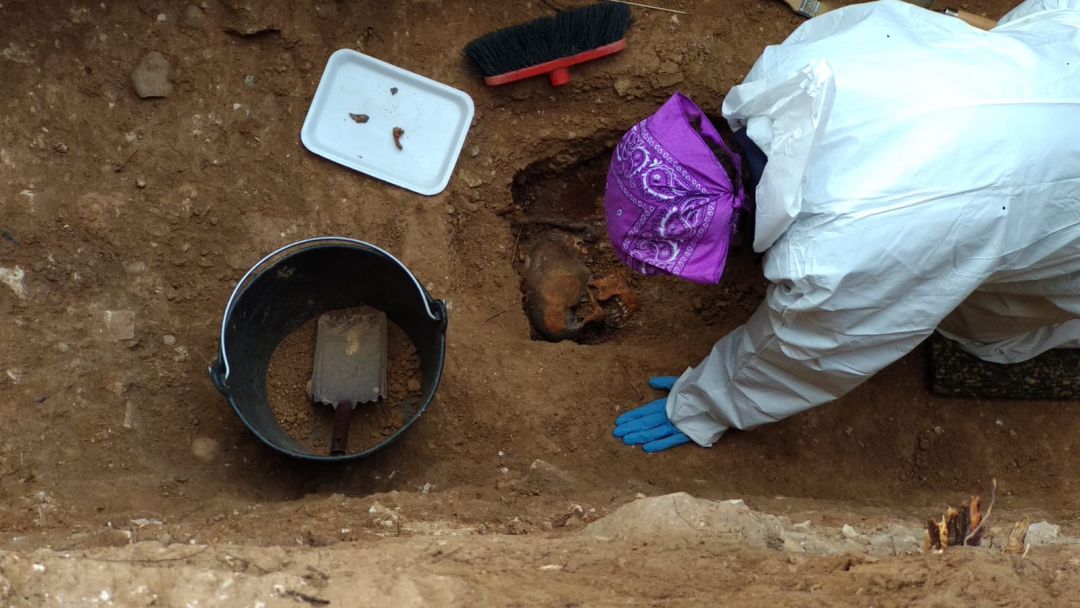 Fosas del Cementerio de la Salud Fosas del Cementerio de la Salud