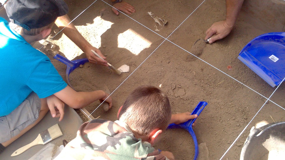 Arqueólogos por un día, el programa educativo que busca el nuevo 'Indiana Jones' madrileño