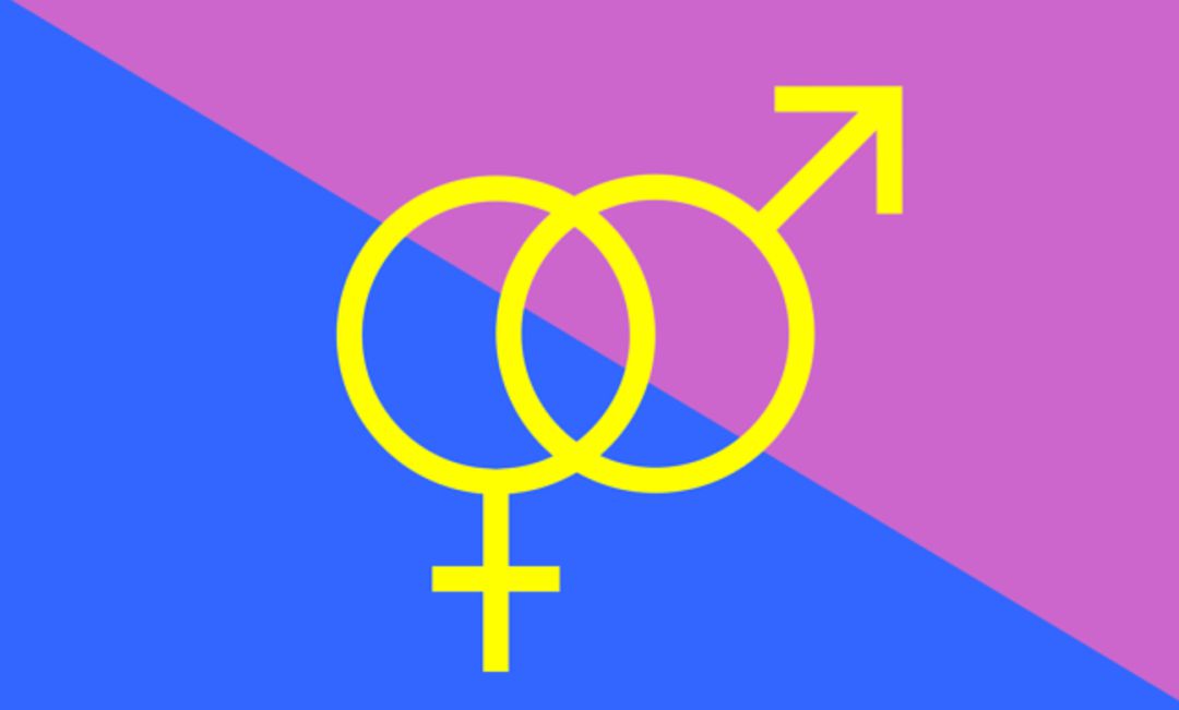 La bandera del 'orgullo hetero'. La bandera del 'orgullo hetero'.