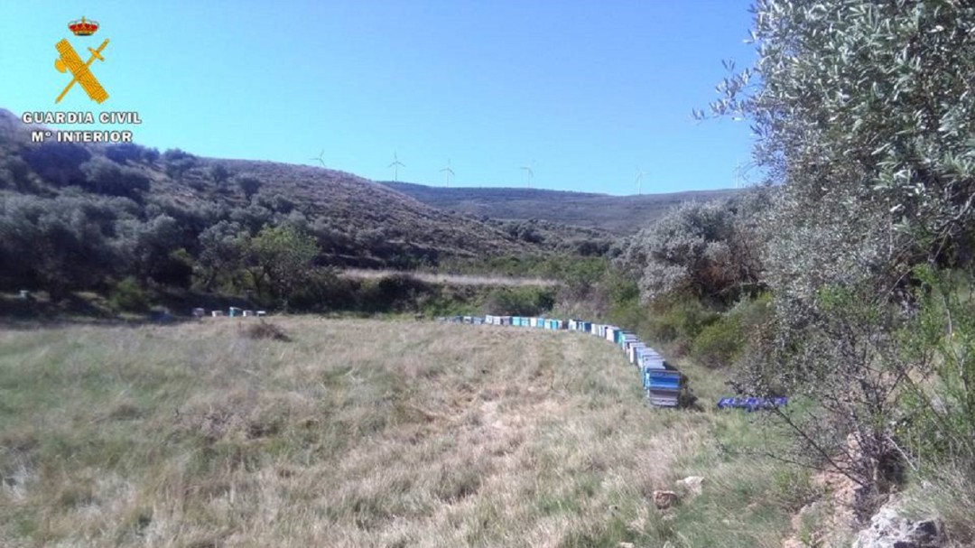 La Guardia Civil recupera en Grisel 115 colmenas robadas en Tarazona